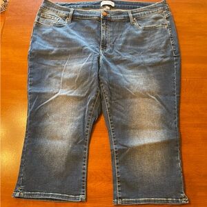 Lane Bryant Women’s Blue Jean Capris, Size 20